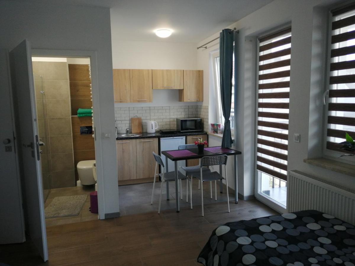 Pokoje - Studio Gliwice I Przy Onkologii ภายนอก รูปภาพ